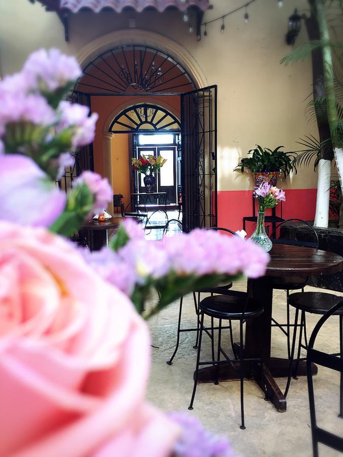Casa Catrina&Diego Hotell Mérida Eksteriør bilde